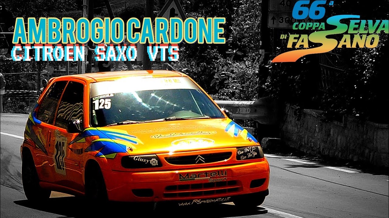 66' Coppa Selva di Fasano 2025 || Ambrogio Cardone || Citroen Saxo Vts