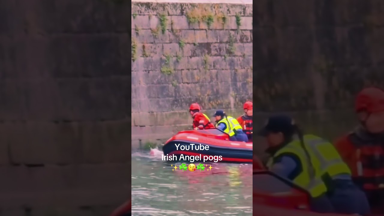 Women swims in River Liffey in 