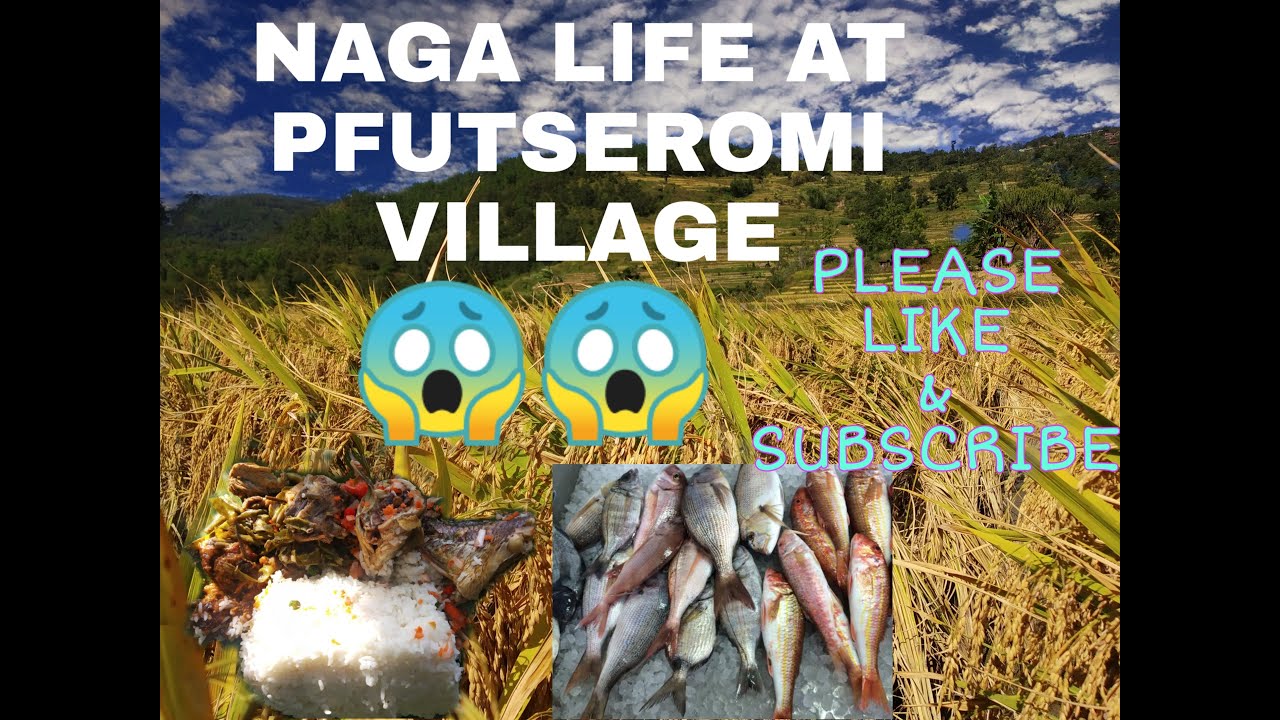 PFUTSEROMI VILLAGE | TERRACE CULTIVATION | PHEK, NAGALAND | NAGA LIFE