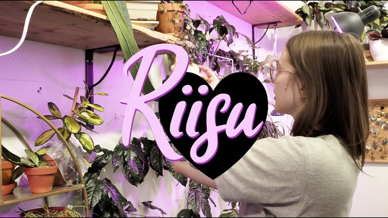 Riisu - Minkälaisia taitoja tarvitset työssäsi, Isa Häkkinen?