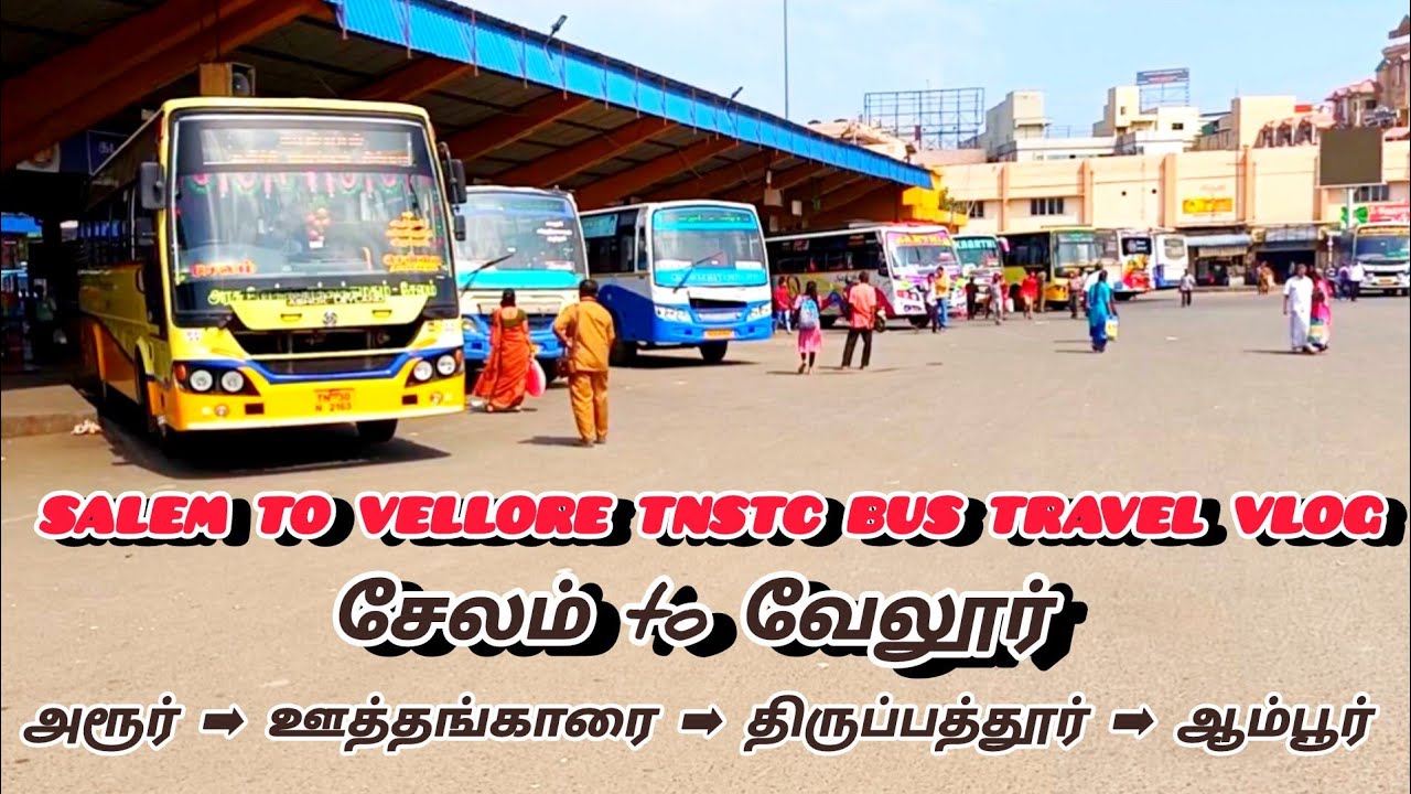 சேலம் வேலூர் பேருந்து பயணம் | SALEM VELLORE TNSTC BUS TRAVAL VLOG  @SELVAMVLOGS