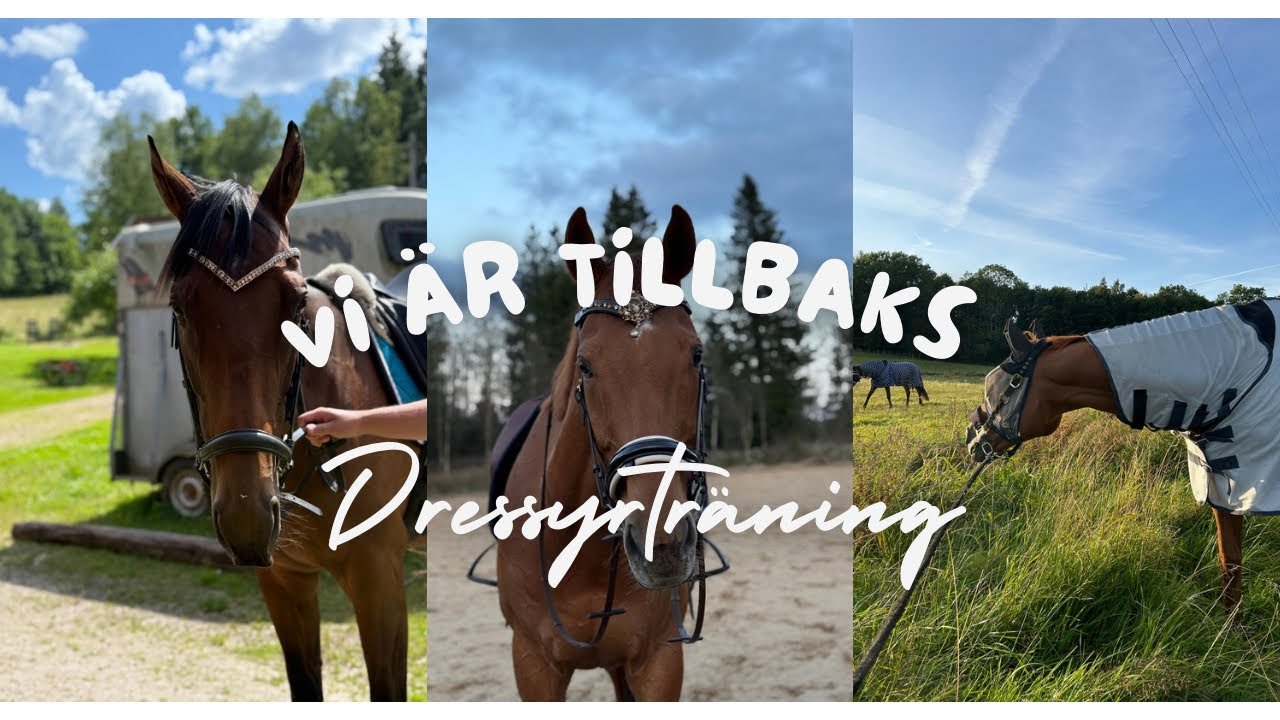 Tillbaka efter semestern - Häng på dressyrträning!!⭐️🧡