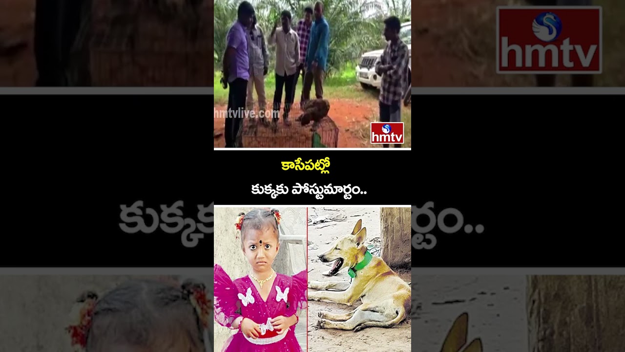 కాసేపట్లో కుక్కకు పోస్టుమార్టం.. |  Kakinada Jahnavi Missing Case Updates | hmtv