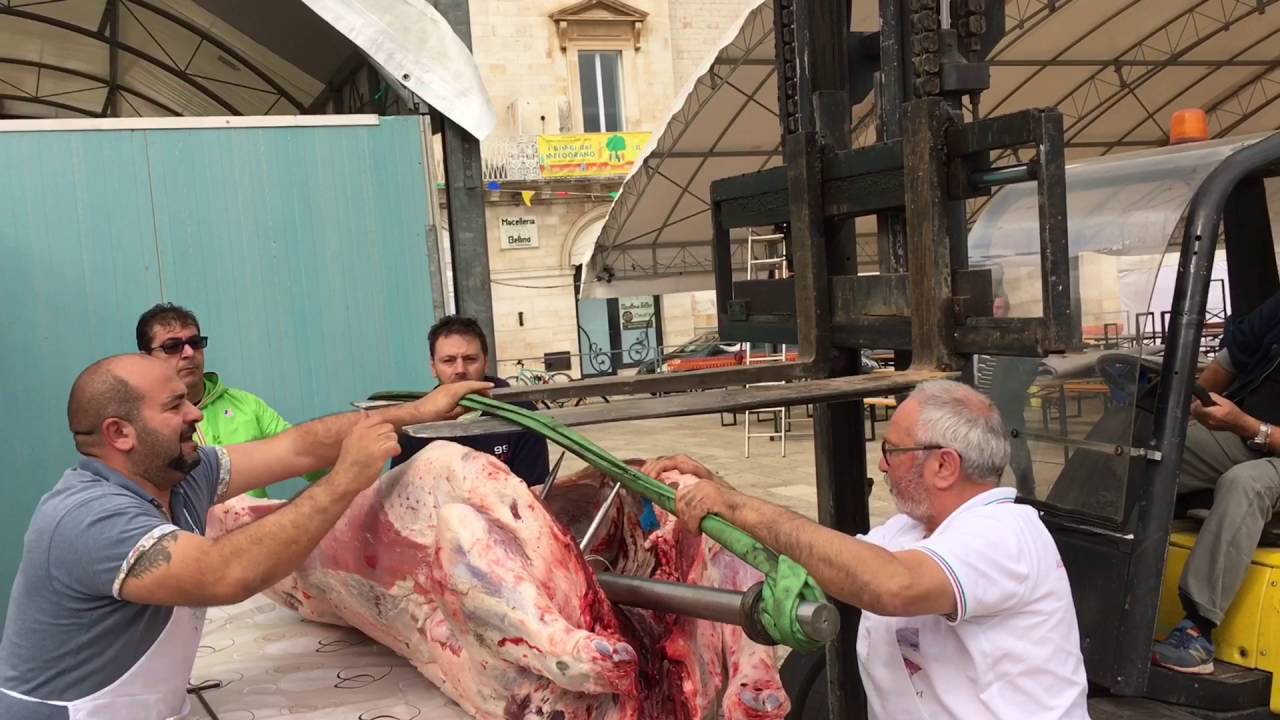 Bitritto. Sagra del toro allo spiedo 2016