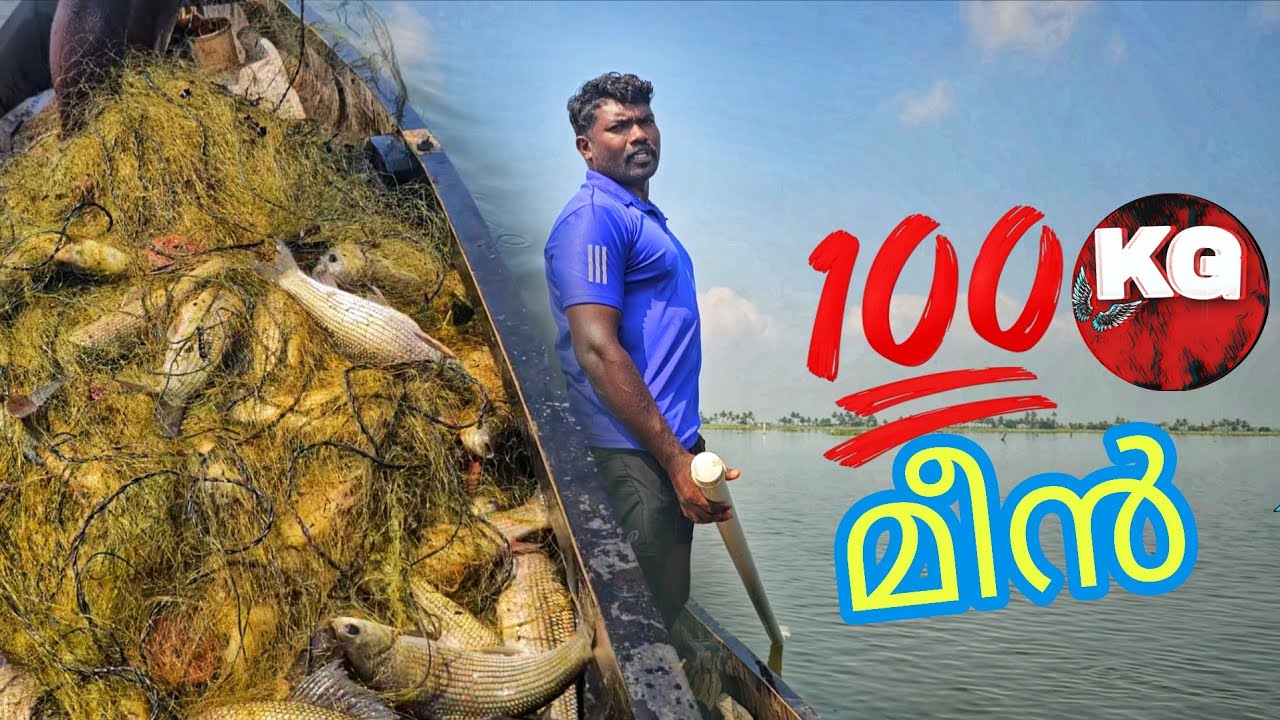 ഈ മീൻ ഇതുപോലെ കിട്ടുന്നത് ഇതാദ്യം | ഒറ്റ വലക്ക് 100കിലോ മീൻ 