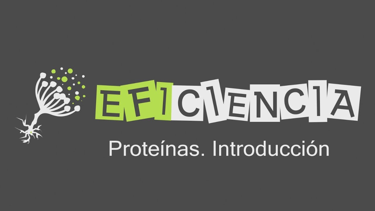 PROTEíNAS. Introducción Tipos Funciones. Holoproteínas Heteroproteínas