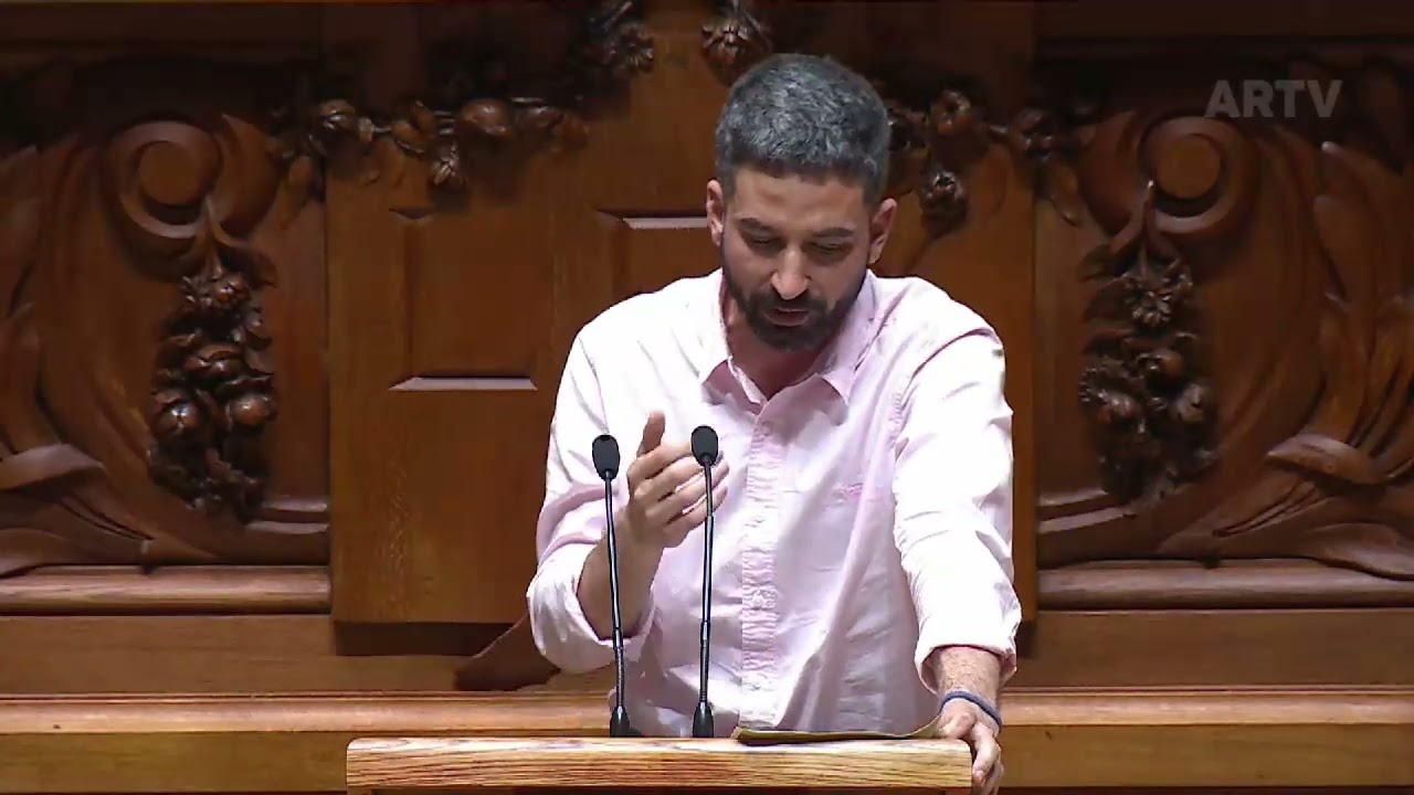 A democracia portuguesa, tal como a concebemos, não existe sem o SNS