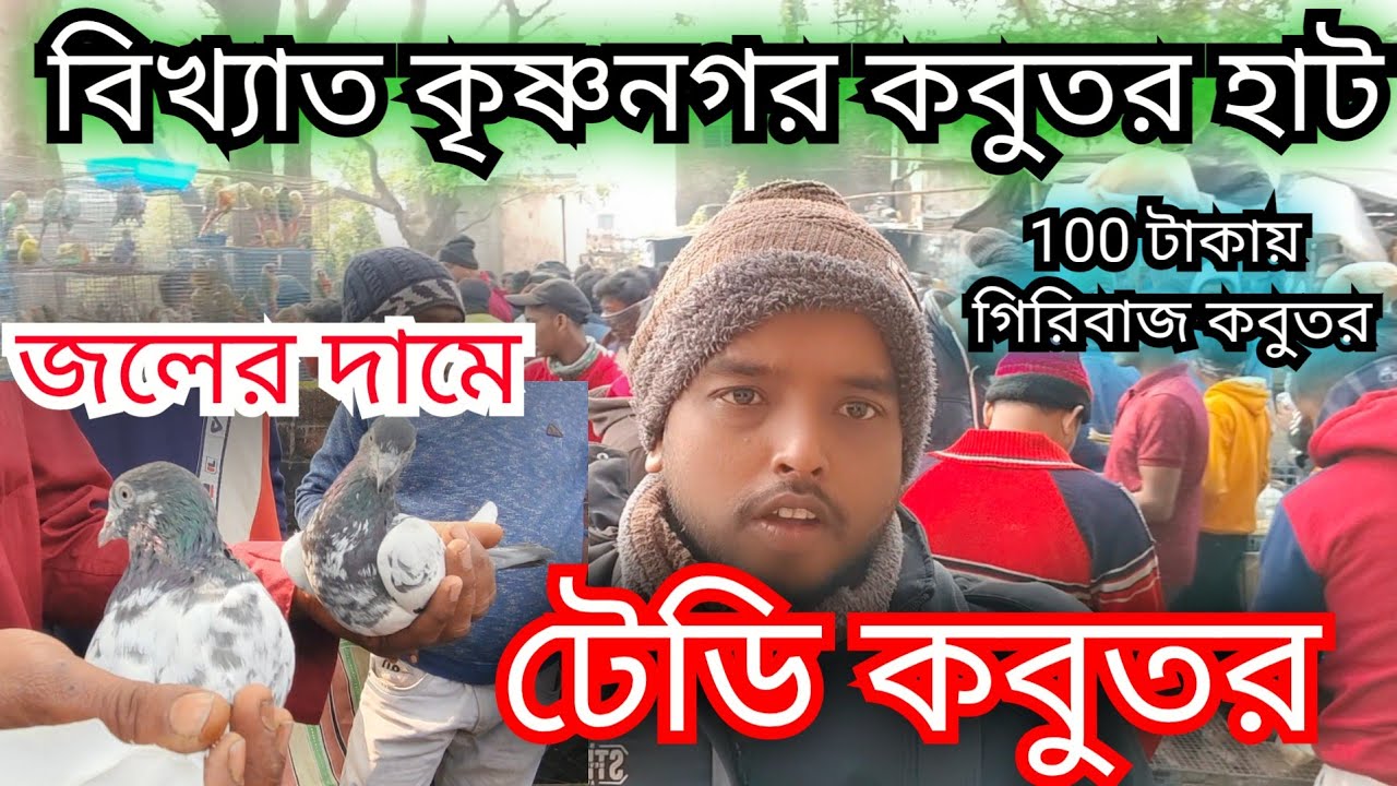 কৃষ্ণনগর কবুতর হাট 