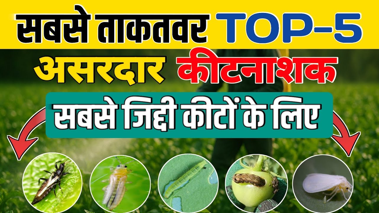 5 best insecticide | 5 बेस्ट नए और असरदार कीटनाशक |New Insecticide 