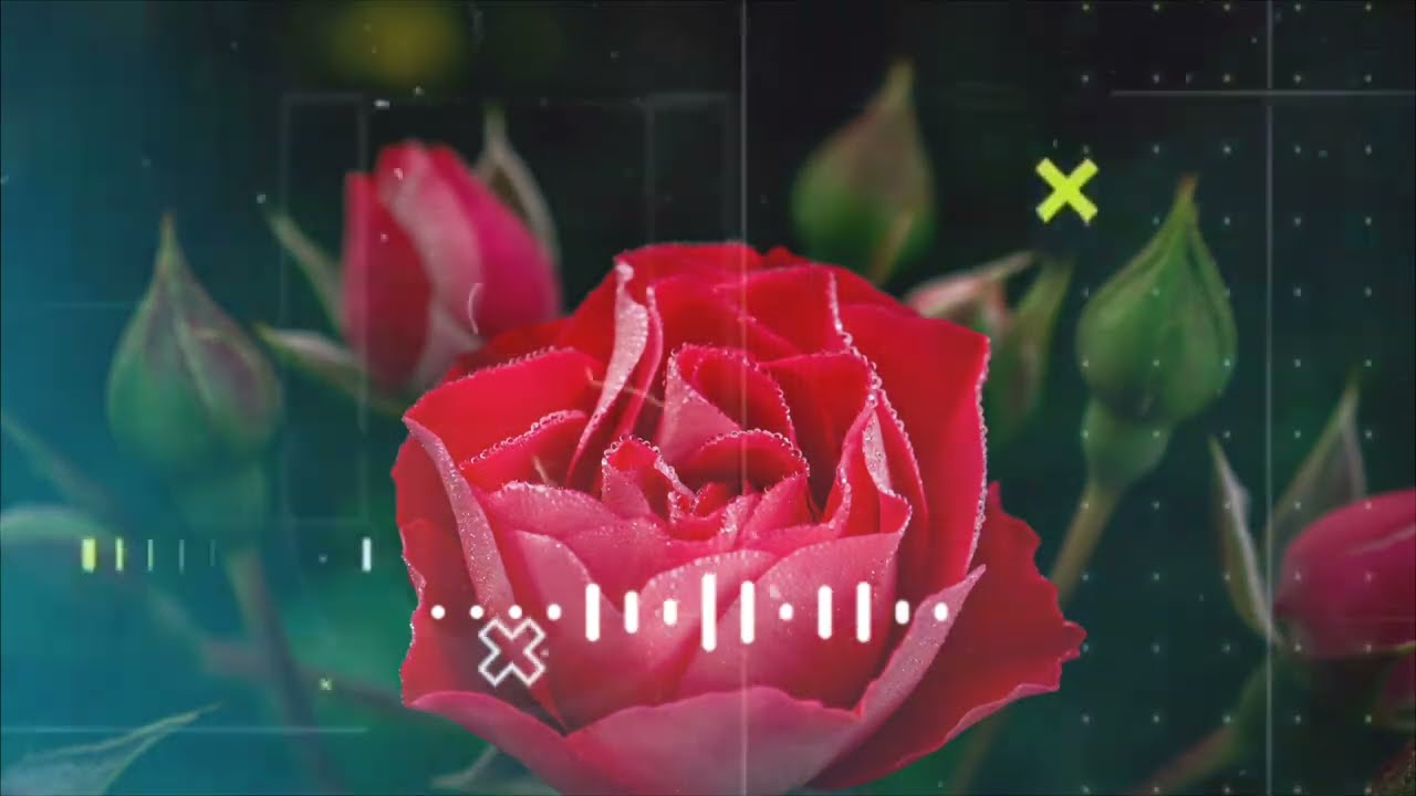 পৃথিবীর কোন কিছুরই অভাব চিরকাল থাকে না। Brakup story। Sad Shayari। Motivation Speech।।