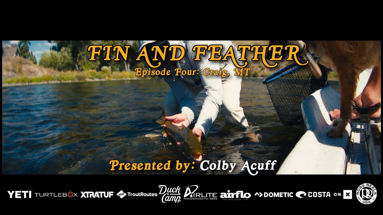 FIN AND FEATHER EPISODE FOUR: 