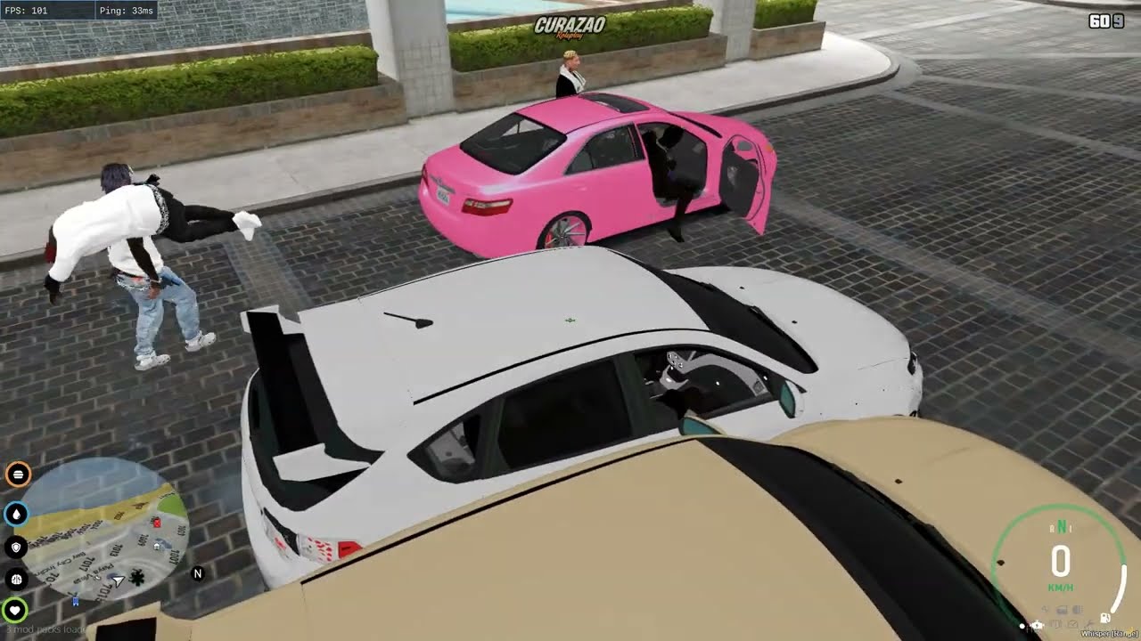 Widaily | Fivem Highlight #9 | Curazao Rp | 🗝️🧟