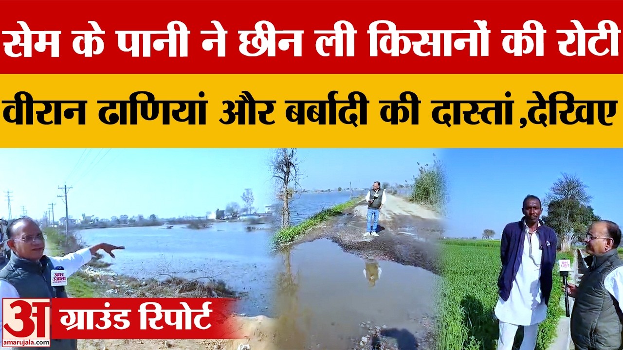 Haryana में सेम का कहर: खेतों में 3 फीट तक पानी, सालों से बर्बाद हो रही फसलें| Hindi News| AmarUjala