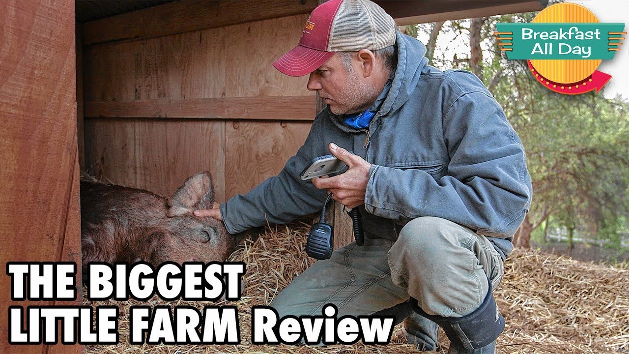 The Biggest Little Farm movie review - Breakfast All Day