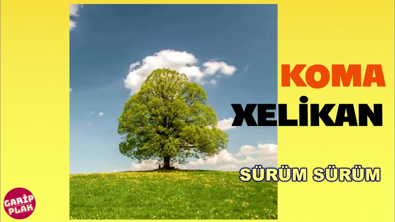 Koma Xelîkan - Sürüm Sürüm