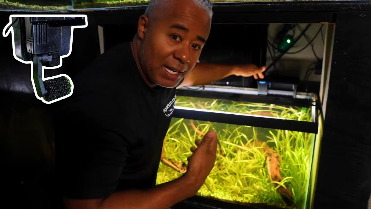 Optimize Seachem Tidal Filters for Crystal Clear Water