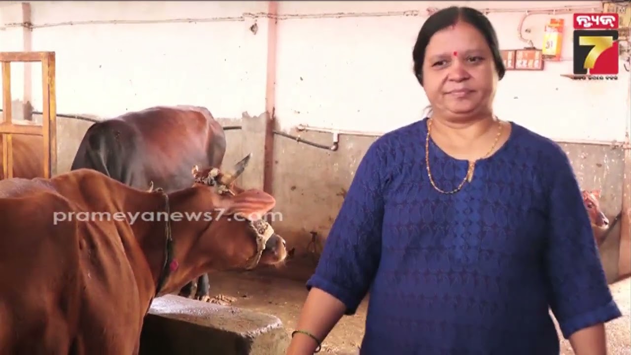 ROJAGAR | Kanchan Dairy Farm, Koraput | Turn Your Passion into Profit: How to Start a Dairy Farm?