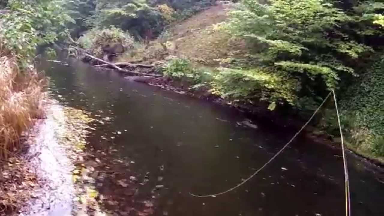 The River Esk - (5-10-15) Grayling