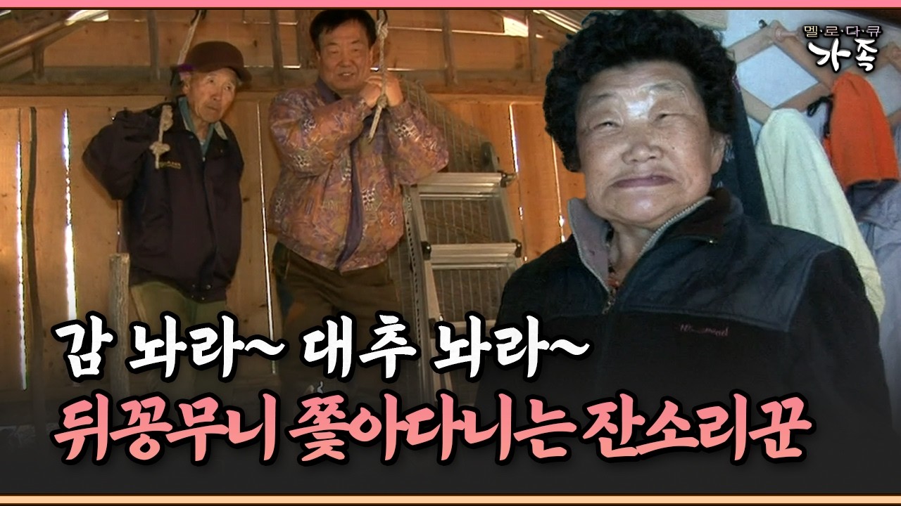 [멜로다큐 ‘가족’ 317-3] 감 놔라 대추 놔라~ 뒤꽁무니 쫓아다니는 잔소리꾼