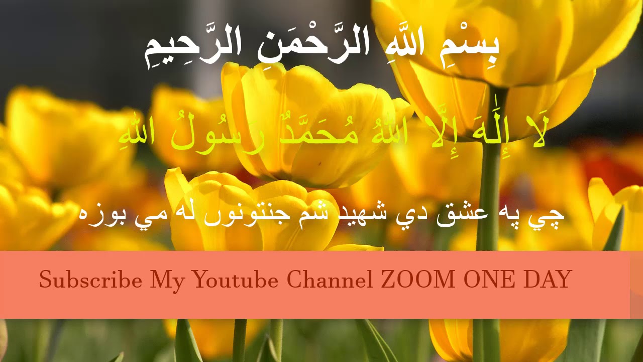 CHI PA ASHK KY DY SHAHEED SHAME_چي په عشق کیدي شهيد شم جنتونوں له مي بوزه  @ZoomOneDayOfficial