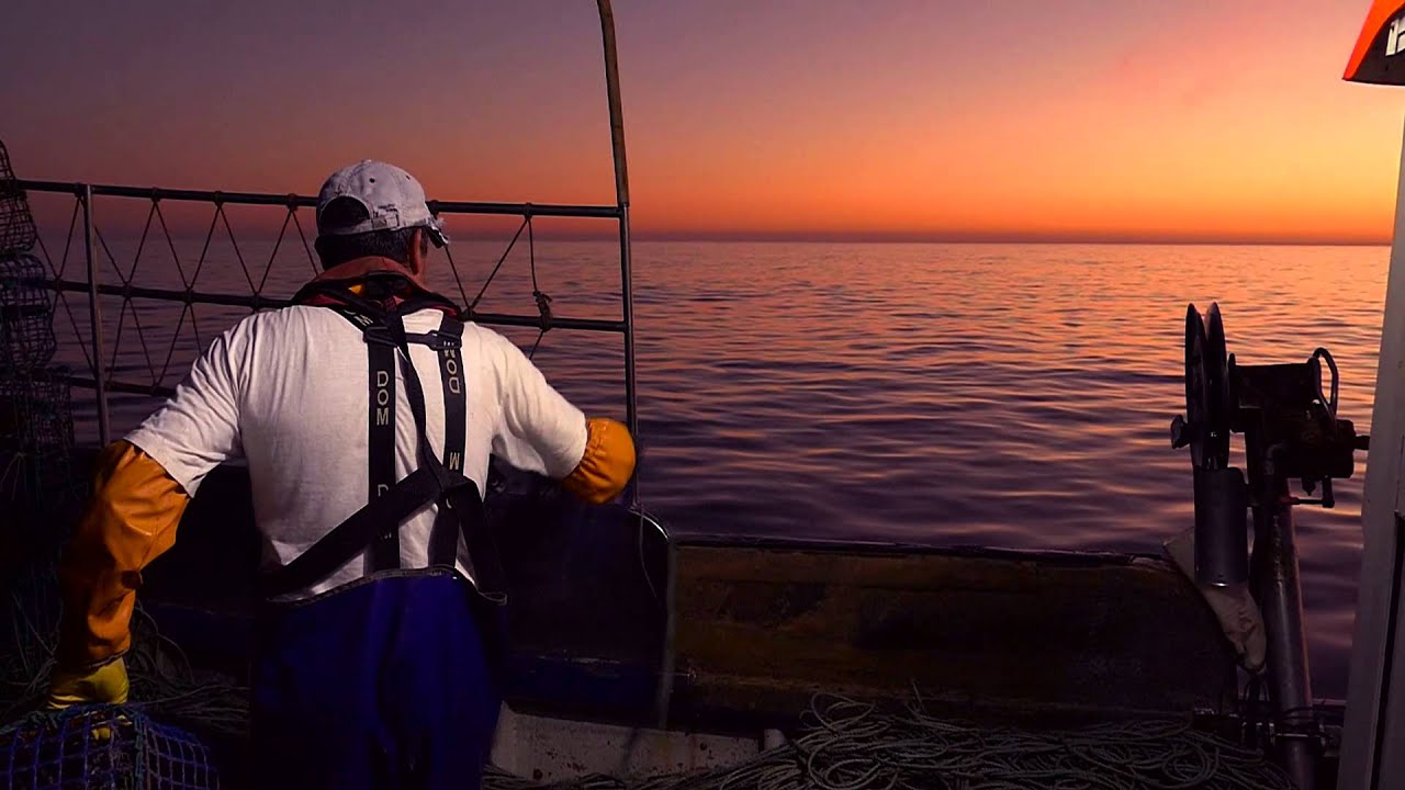 Pesca artesanal de Polvo no Algarve