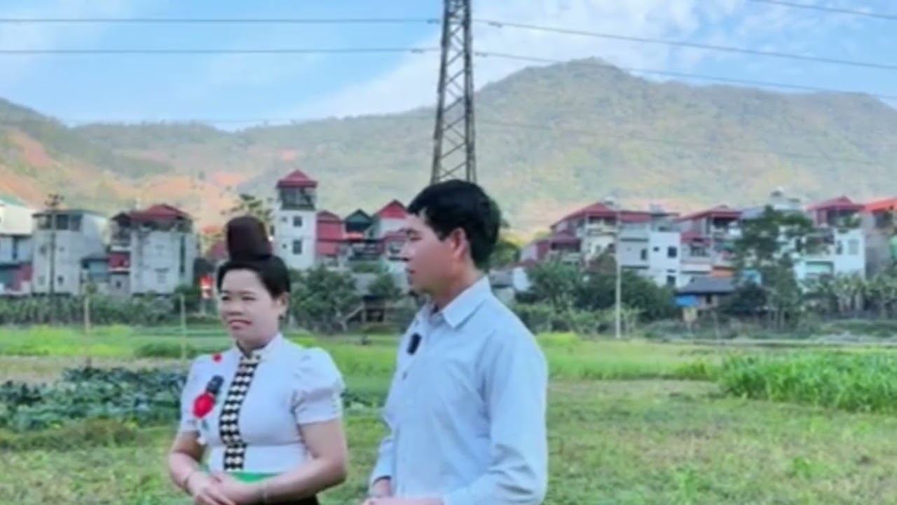 [ HÁT THÁI] MỚI PI NOONG TỎN PHẮNG NỚ ÁI PHƯỞNG HOÀNG KHẮP XIẾT HỒNG THƠM MÉT CỚ LÒ #youtubeshorts 