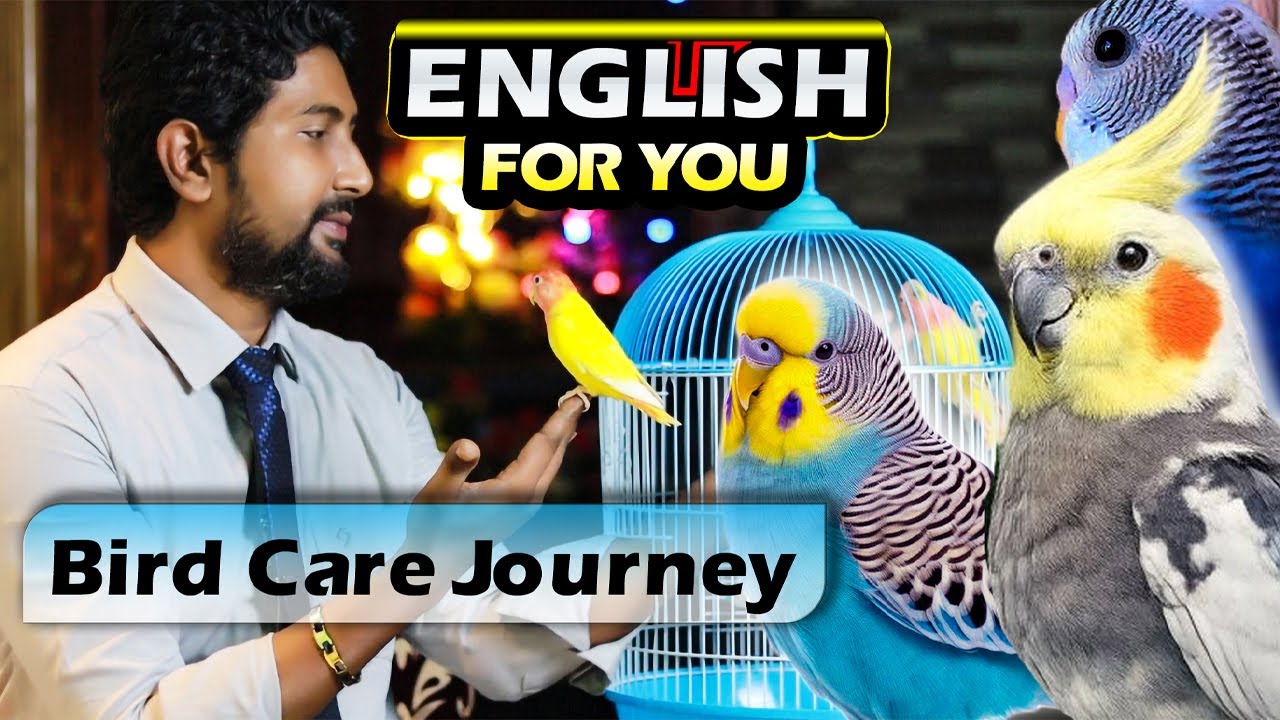 Complete Bird Care Journey: From Baby to Adult | Lovebirds, Cockatiels & Budgies