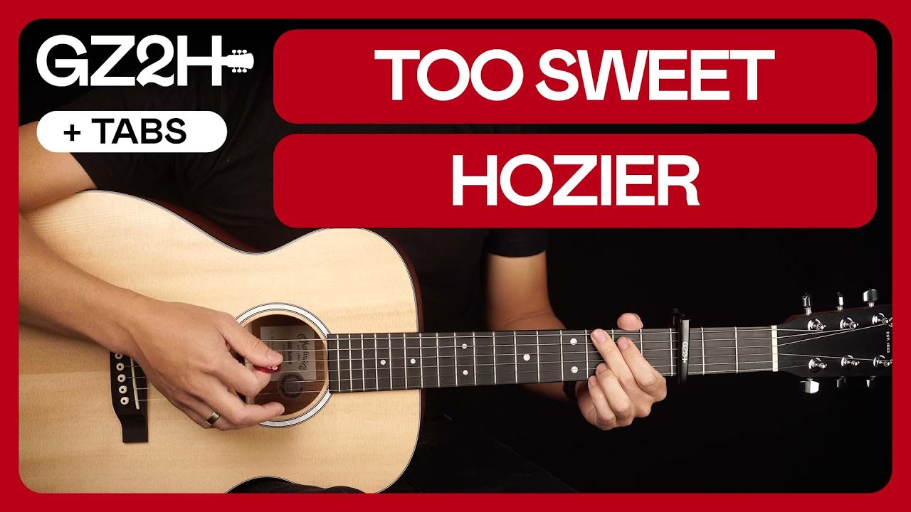 Too Sweet Guitar Tutorial Hozier Guitar Lesson |Easy Chords + Riff + TAB|