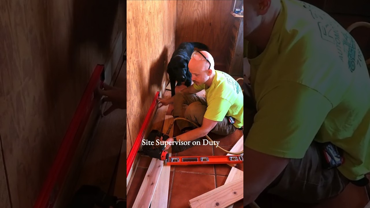 Always Has To Be Involved...