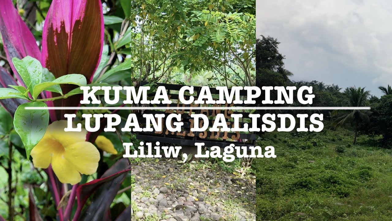 KUMA CAMPING || RAINY DAY CAMPING @ LUPANG DALISDIS - Liliw, Laguna | Naturehike Village 6