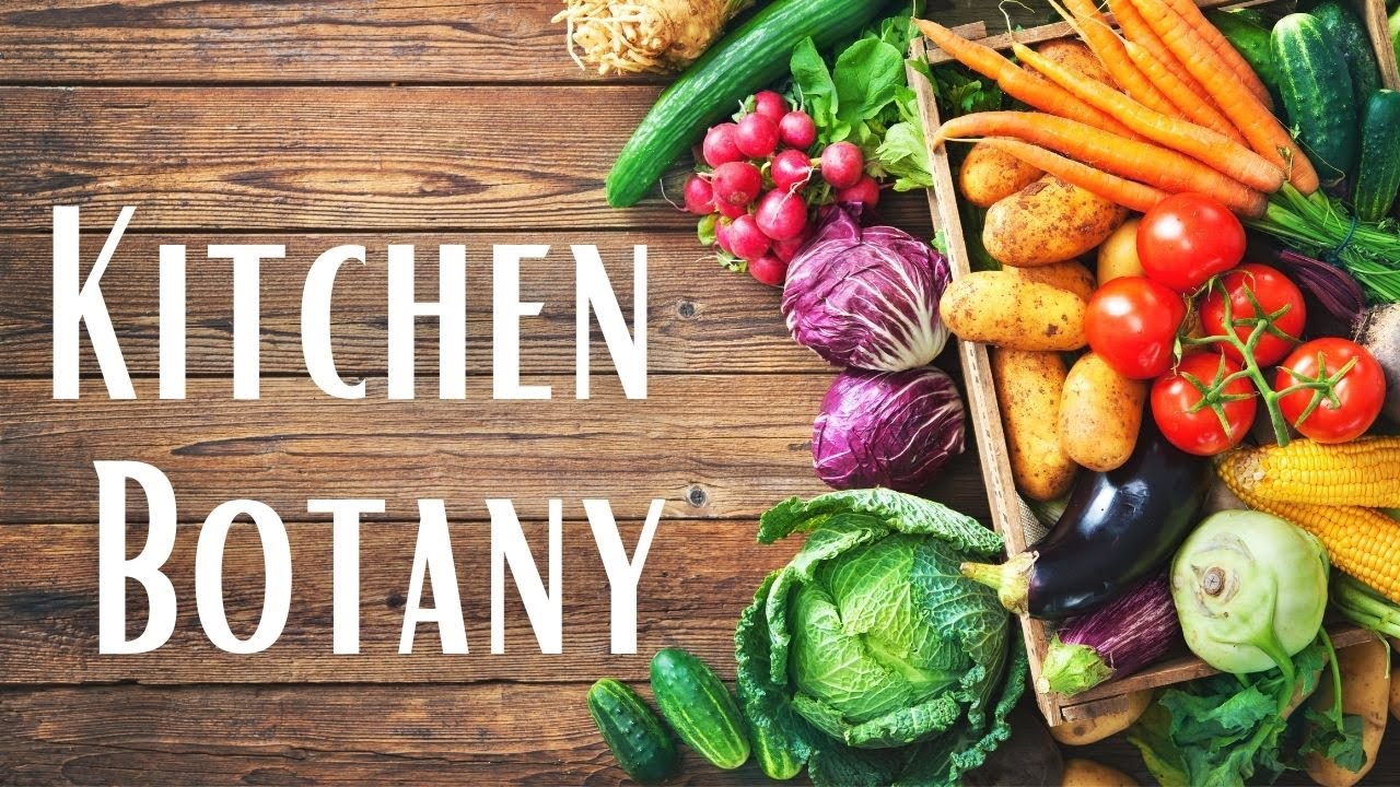Kitchen Botany