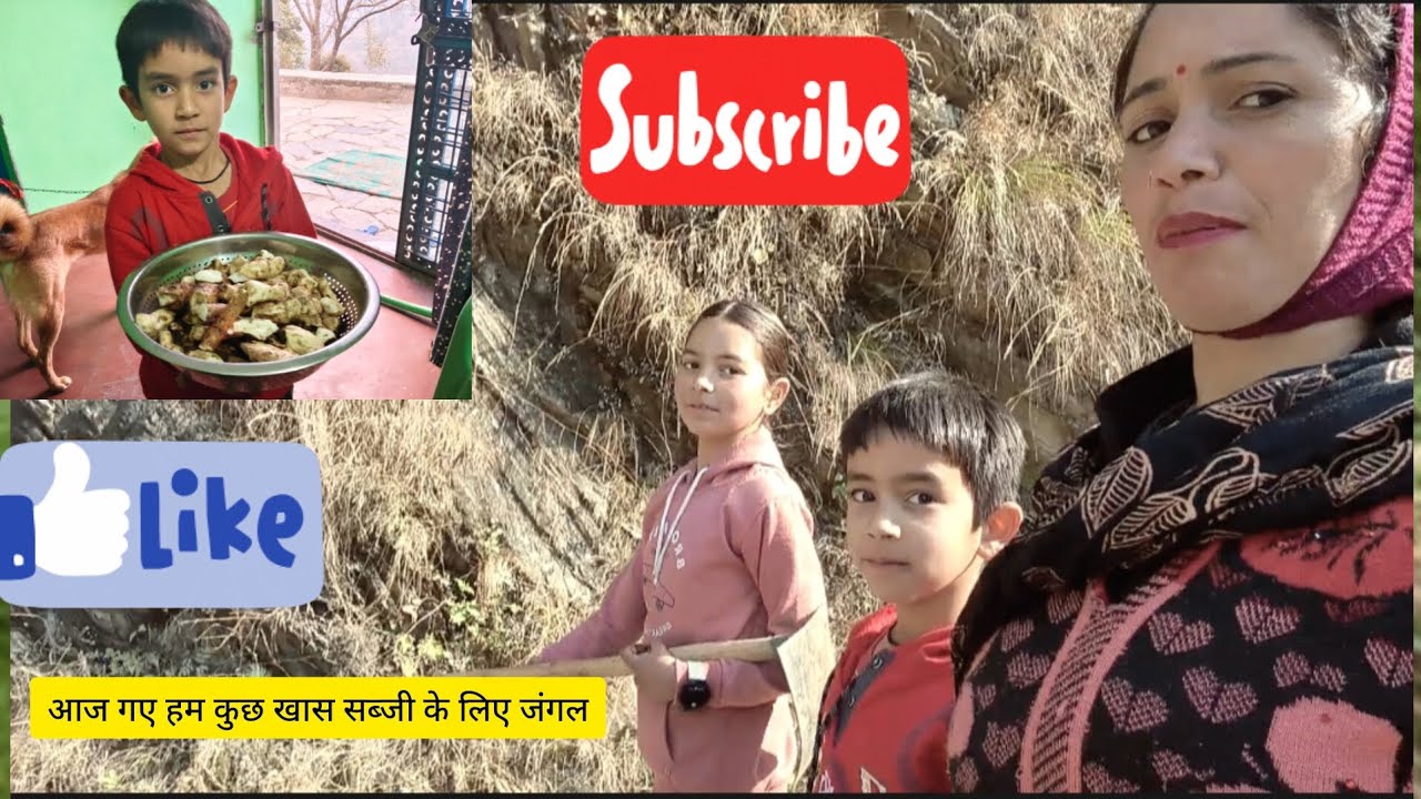 आज हम सब गए जंगल || #pahadi #trending #viral #vlog #popular 