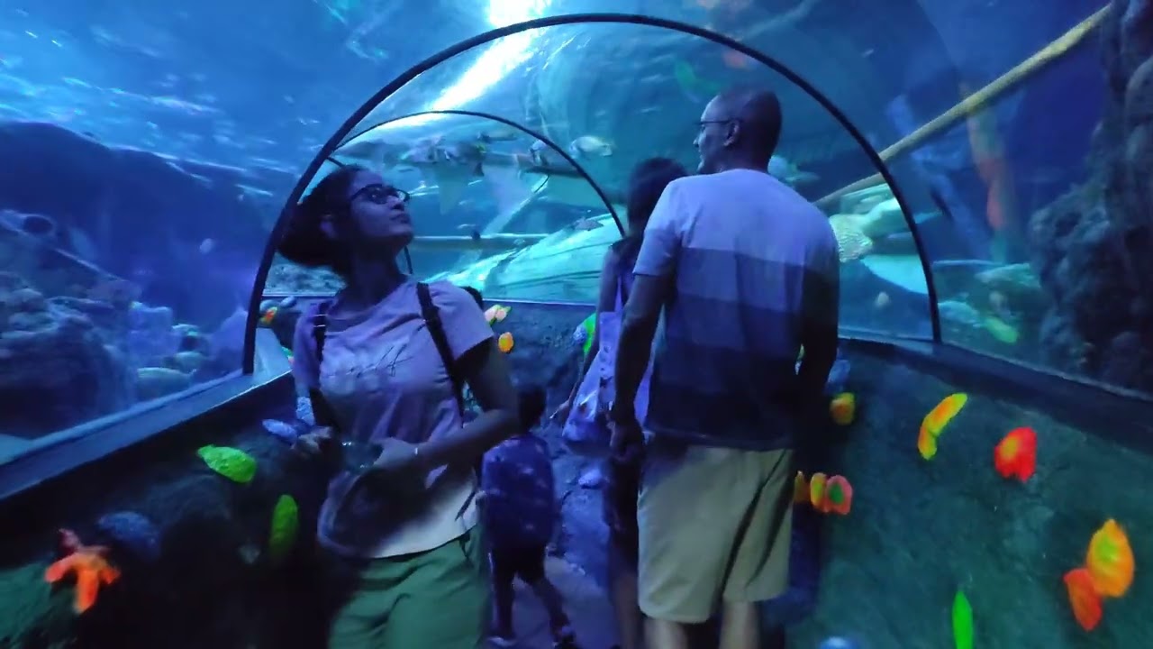 sealife #gardalandpark
