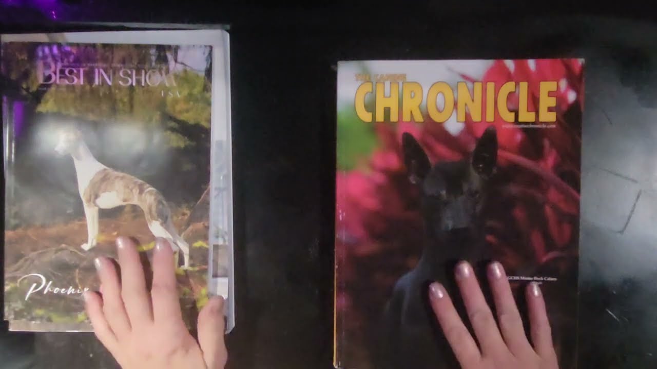 ASMR-Soft spoken page turning showdog magazines