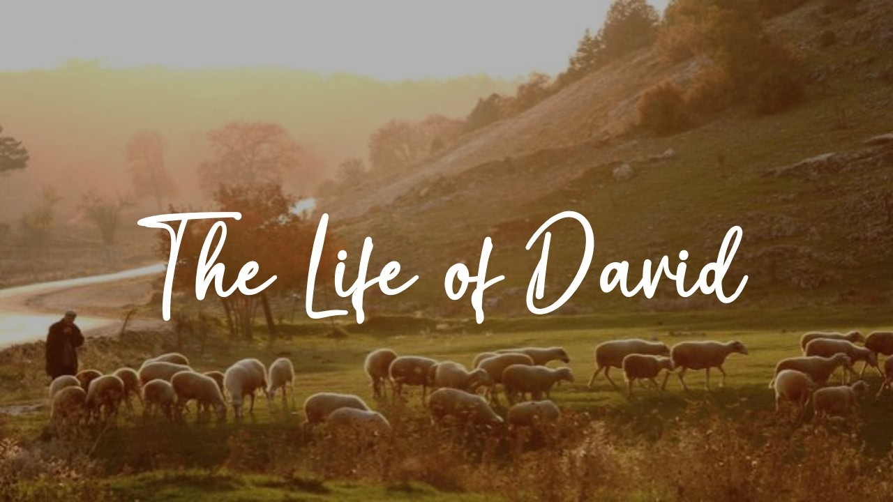 Sisterhood: The Life of David - When Running Becomes Refining