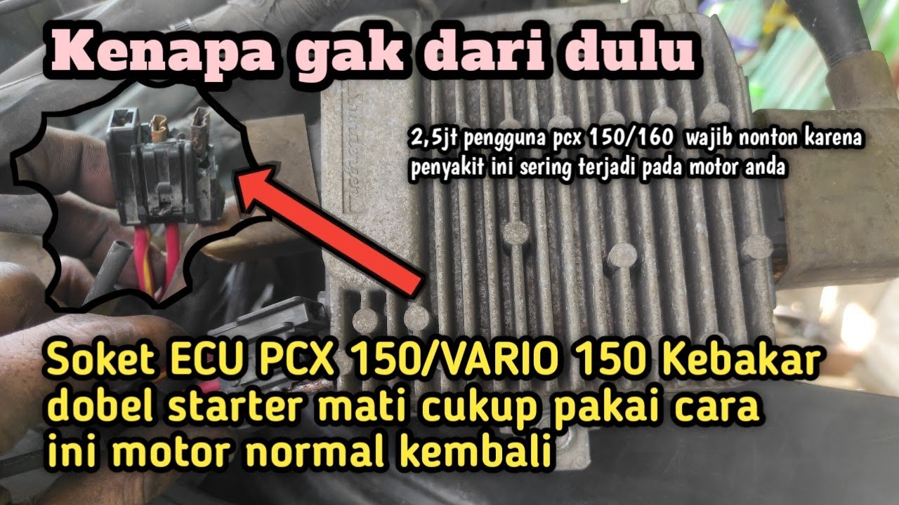 Soket ecu PCX 150 kebakar dobel starter Mati  pakai cara ini motor normal kembali