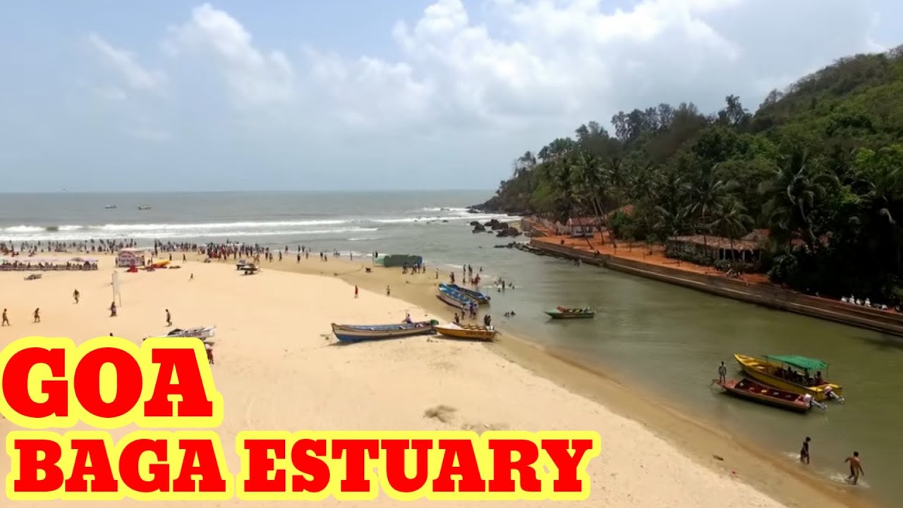 Baga river meet Baga Sea | Baga Estuary |  Must visit place in Baga beach Goa | Goa Vlog