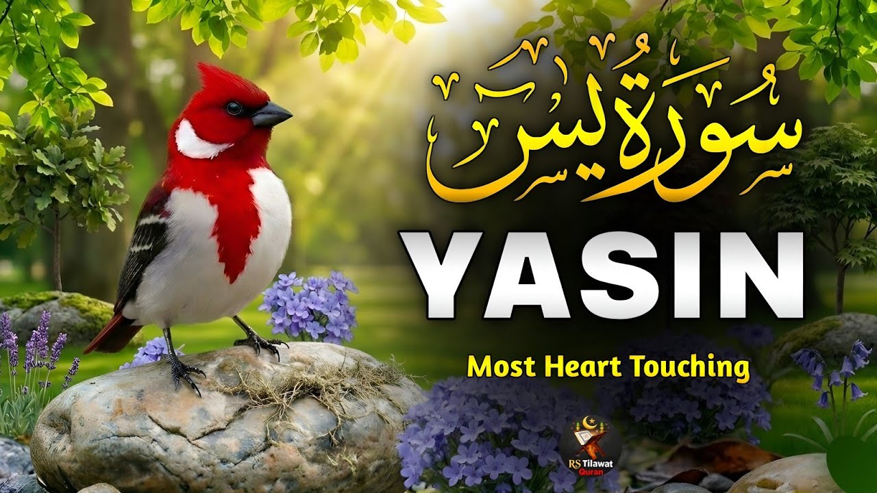 Surah Yasin (Yaseen)سورة يس | Full With Arabic Text | Sheikh Alaa Aqel | Beautiful Tilawat 