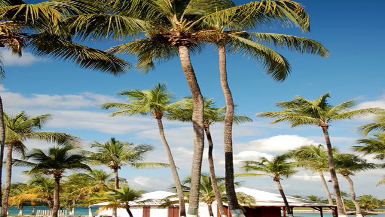 Hotel Fleur d&rsquo;Ep&eacute;e - Le Gosier - Guadeloupe