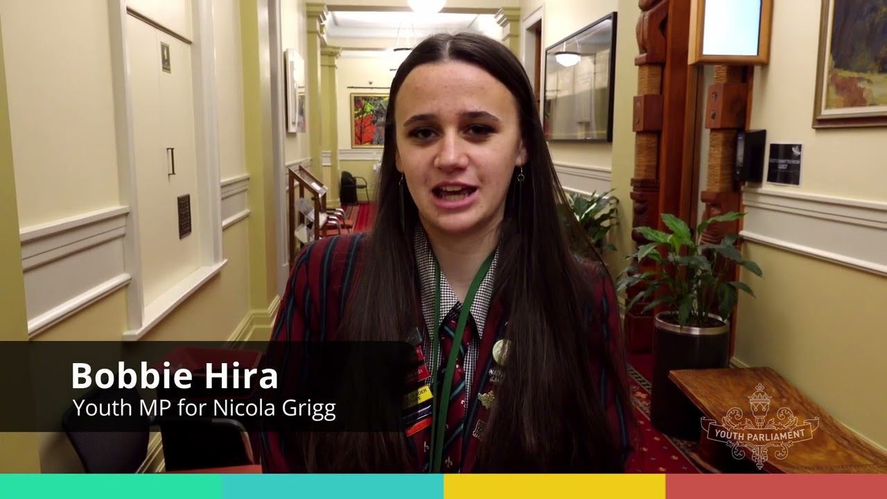 Experiences at Youth Parliament | NZ Youth Parliament