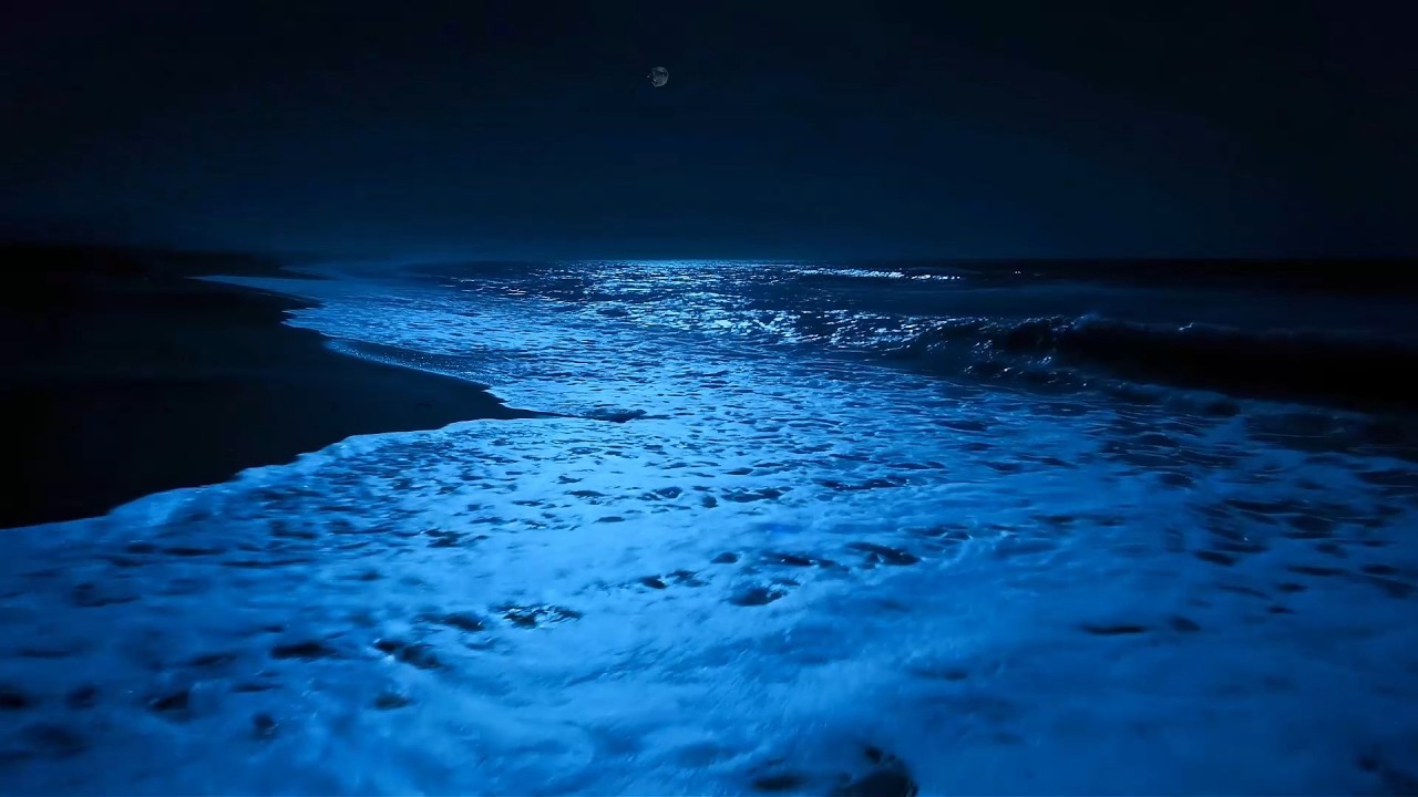 (No Ads) Say Goodbye Stress to Deep Sleep & Sleep Instantly | Ocean Sounds for Sleep
