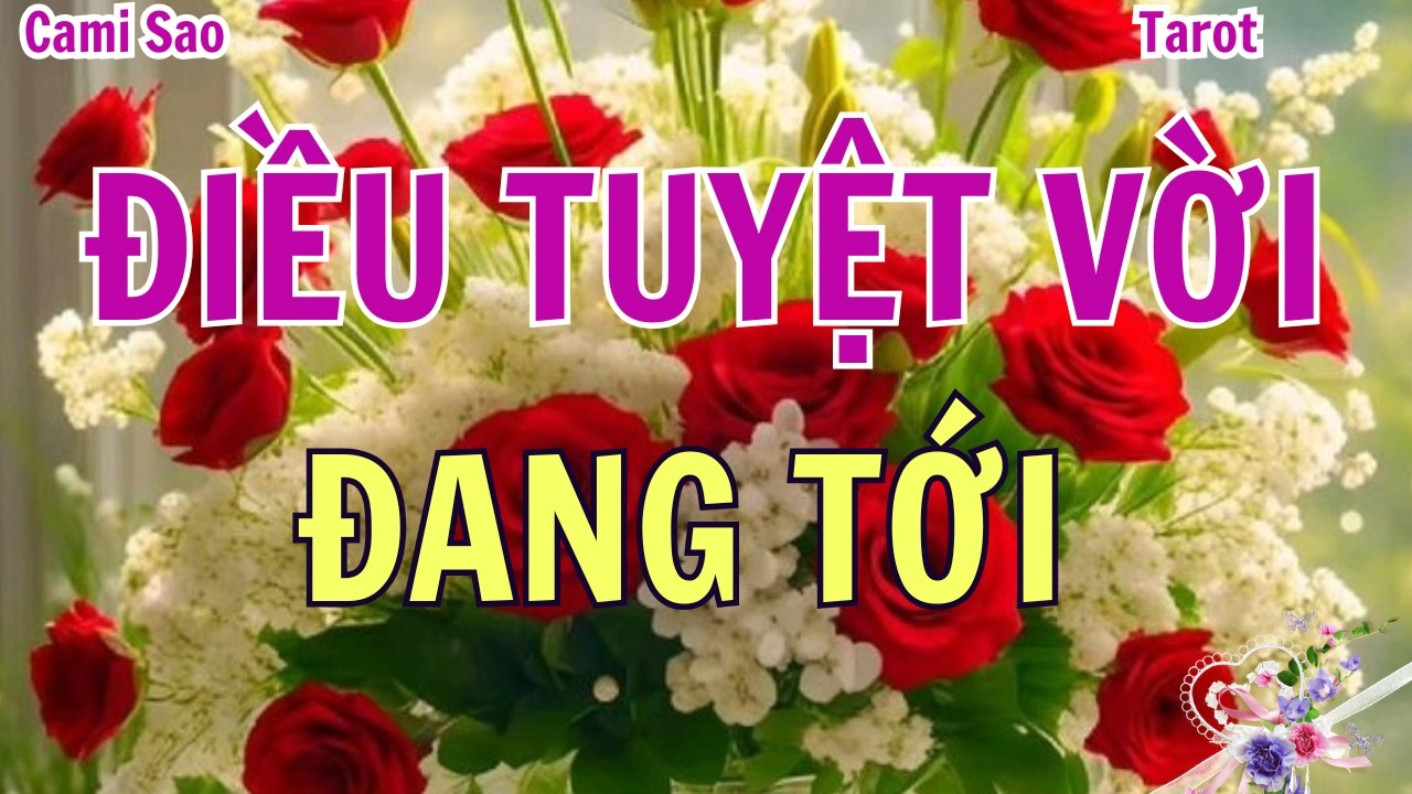 Tarot | Diễn biến tuyệt vời mà bạn đang thu hút vào cuộc sống của mình ngay lúc này