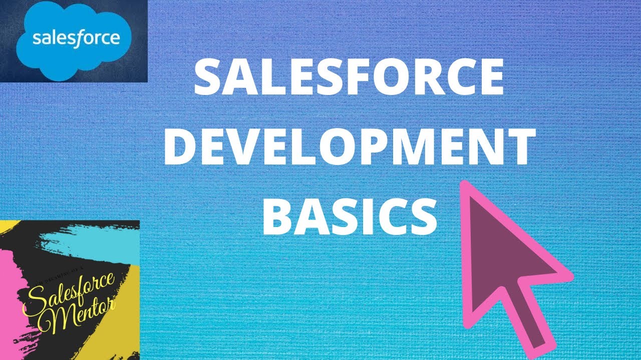 SALESFORCE DEVELOPMENT BASICS  (Programming basics) || 2020