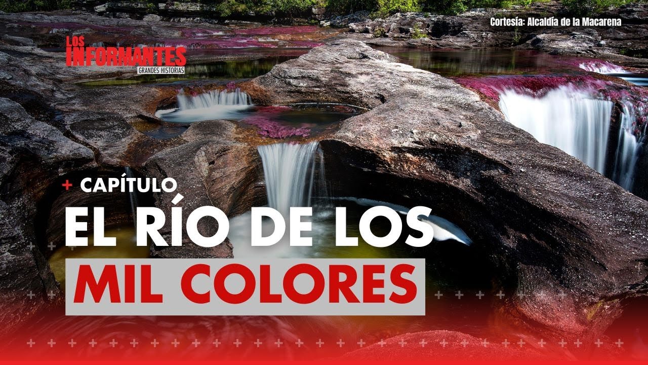 Así es Caño Cristales, el río más lindo del mundo: está en Colombia