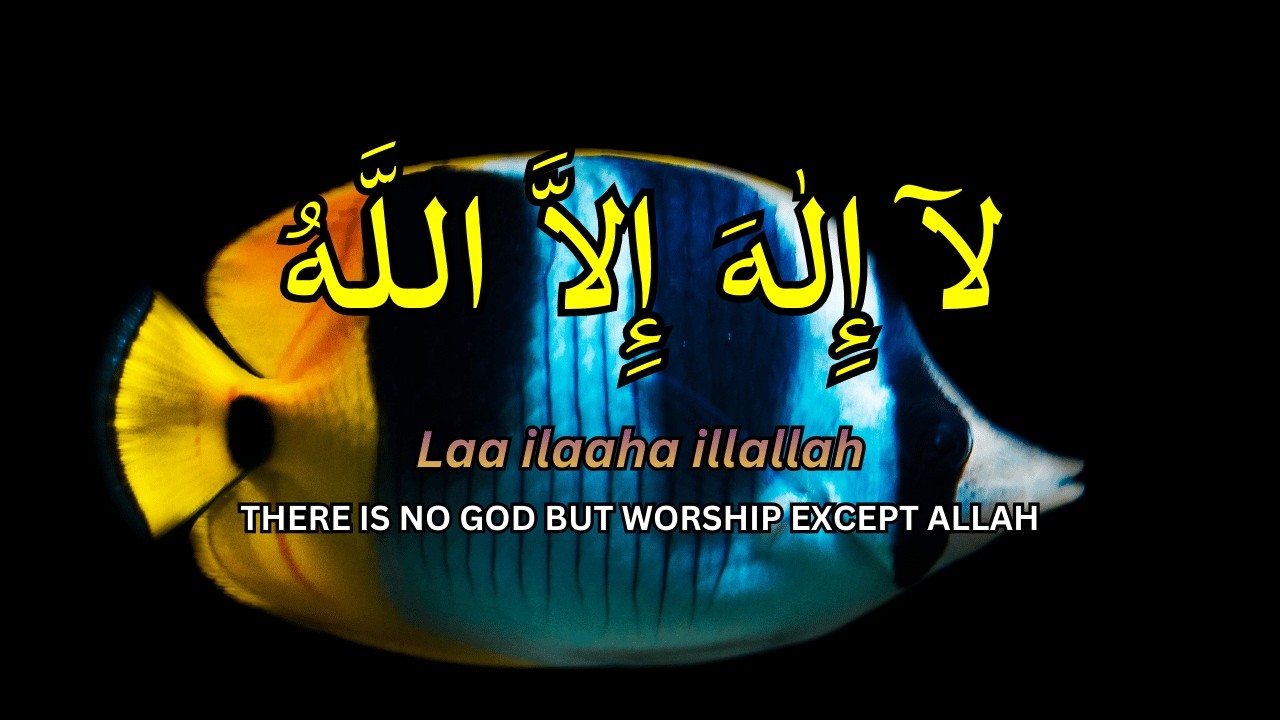 Daily Dzikir Calm LAILAHAILLALLAH for Peaceful Mind