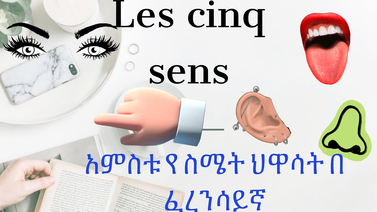 Les cinq sens/አምስቱ የስሜት ህዋሳት በ ፈረንሳይኛ