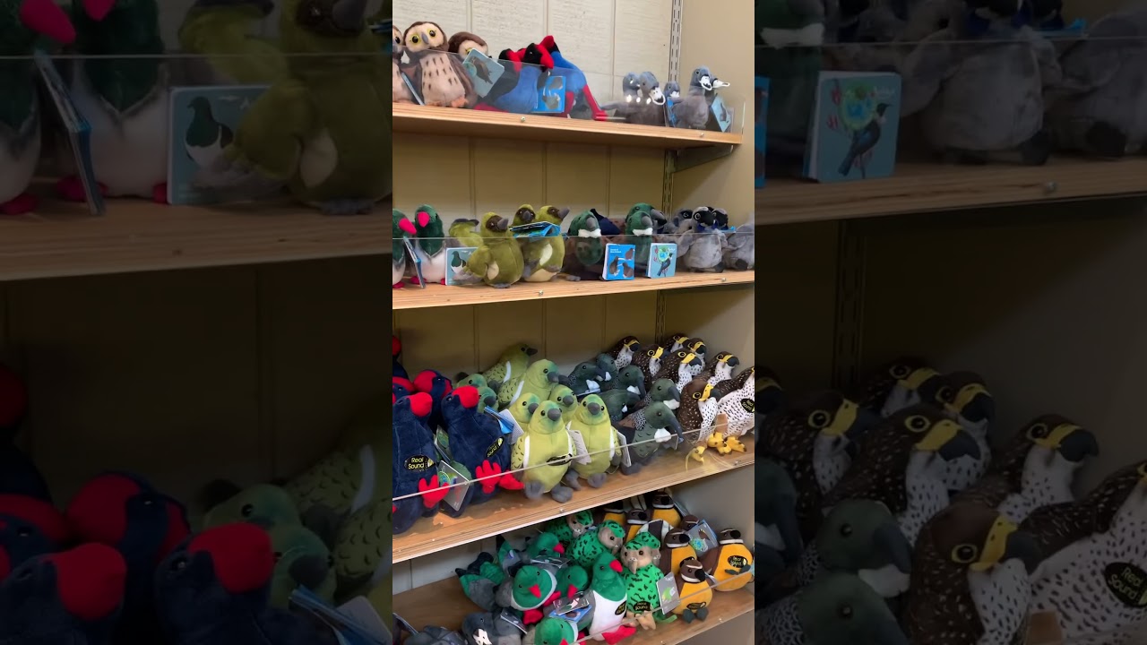 Fur toys #soft toys #Auckland Zoo Gift shop #shorts #subscribe