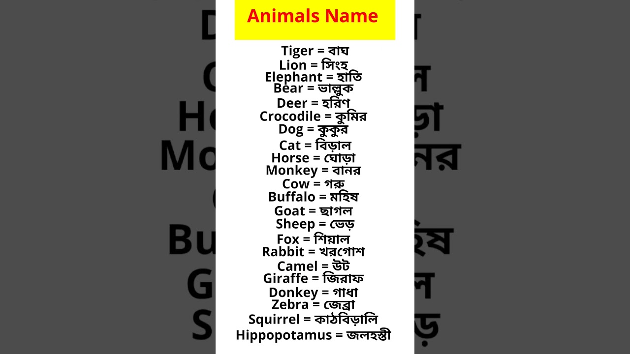 #animals name in English and Bengali #english shorts #english vocabulary #animals