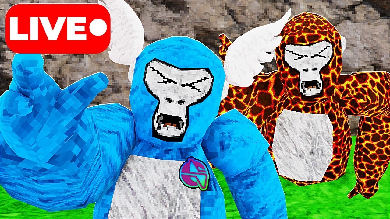 Gorilla Tag Live with YOU!