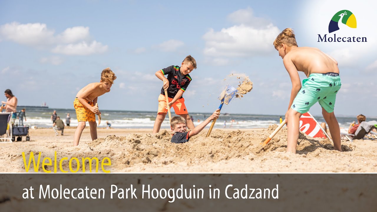 Welcome at Molecaten Park Hoogduin in Cadzand, Netherlands